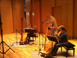 12-16-11 Harp Session